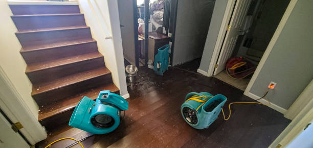  Clayton, CA Water damage restoration Pros