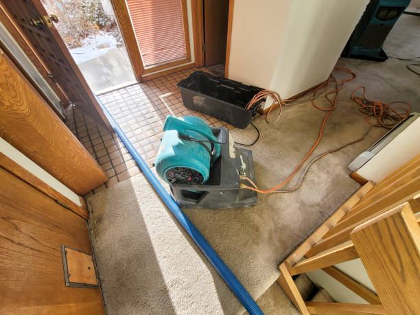 Best Flood restoration services  in Clayton, CA