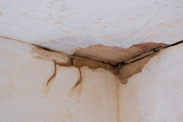 Best Fire Damage Restoration  in Clayton, CA
