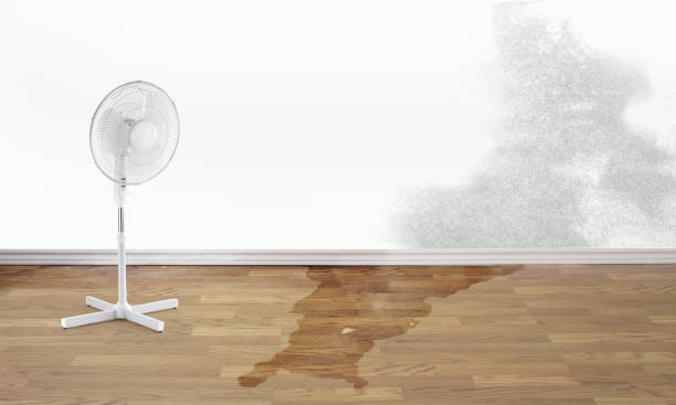 Best Basement water damage restoration  in Clayton, CA