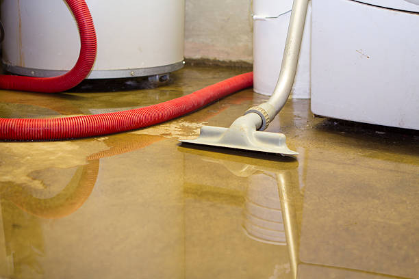 Best Water damage restoration company  in Clayton, CA
