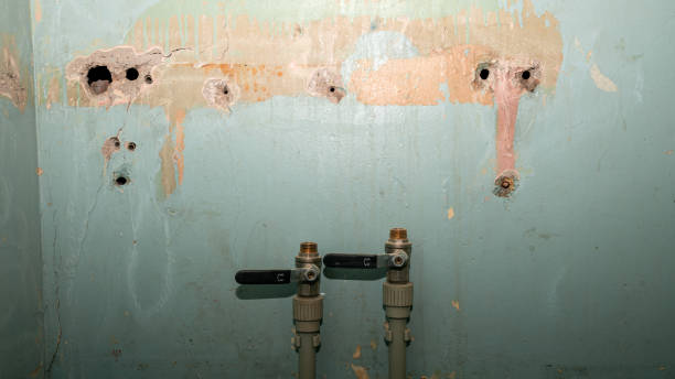 Best Flooded house restoration  in Clayton, CA