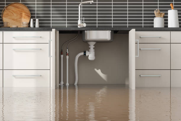Best Mold removal after water damage  in Clayton, CA