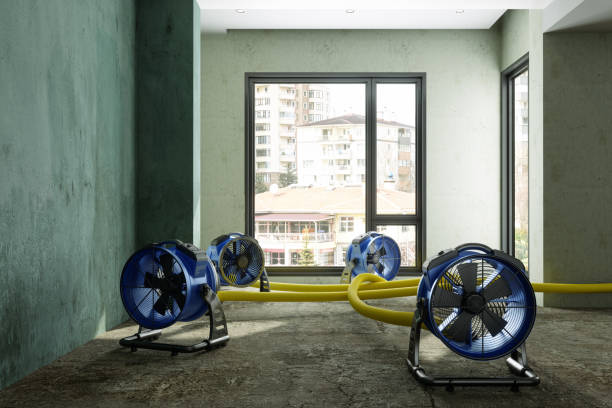 Best Water damage restoration near me  in Clayton, CA