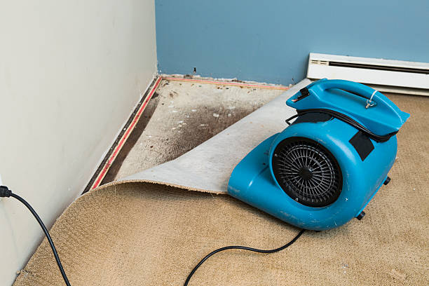 Best Water damage restoration near me  in Clayton, CA